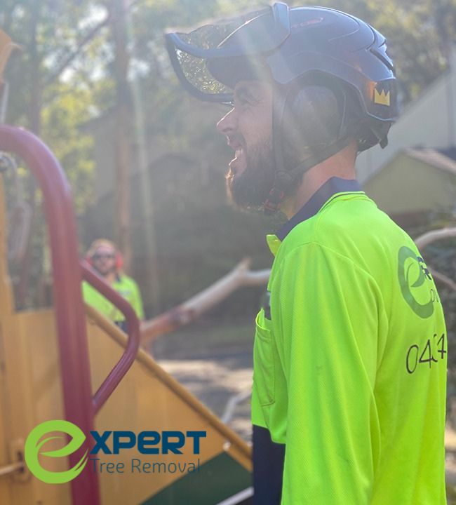 Certified Arborist Blacktown