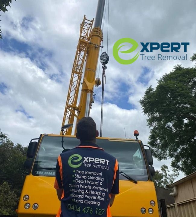 Crane assisted tree removal Blacktown