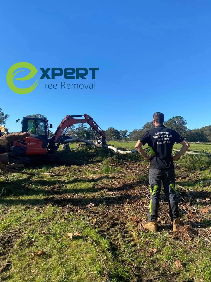 Land clearing Blacktown