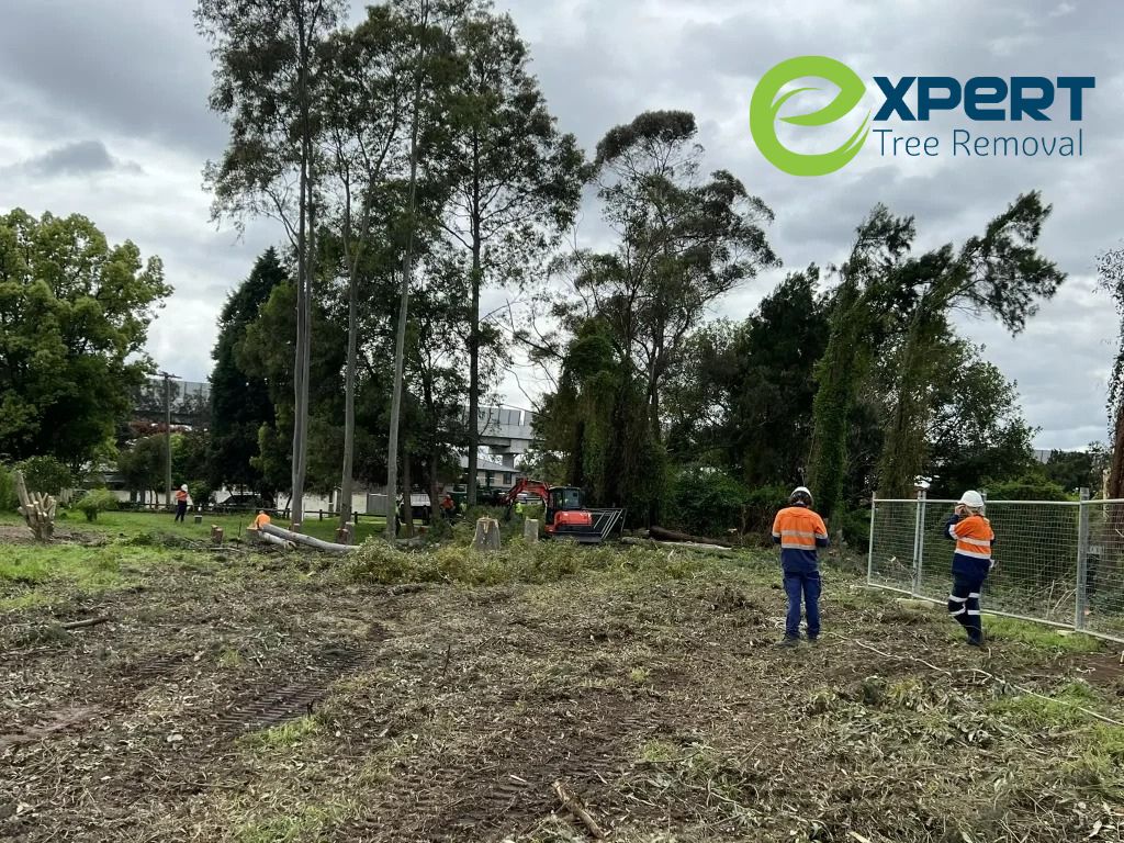 Land clearing Blacktown NSW