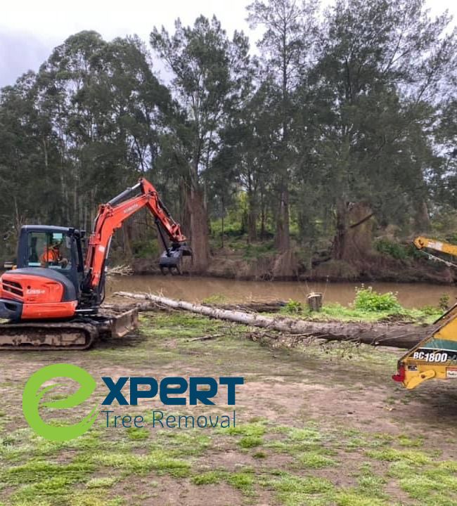 Land clearing and vegetation Blacktown