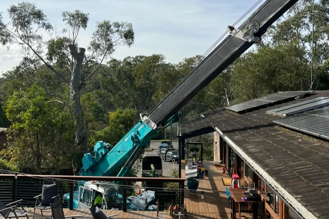 Tree Removal Rouse Hill