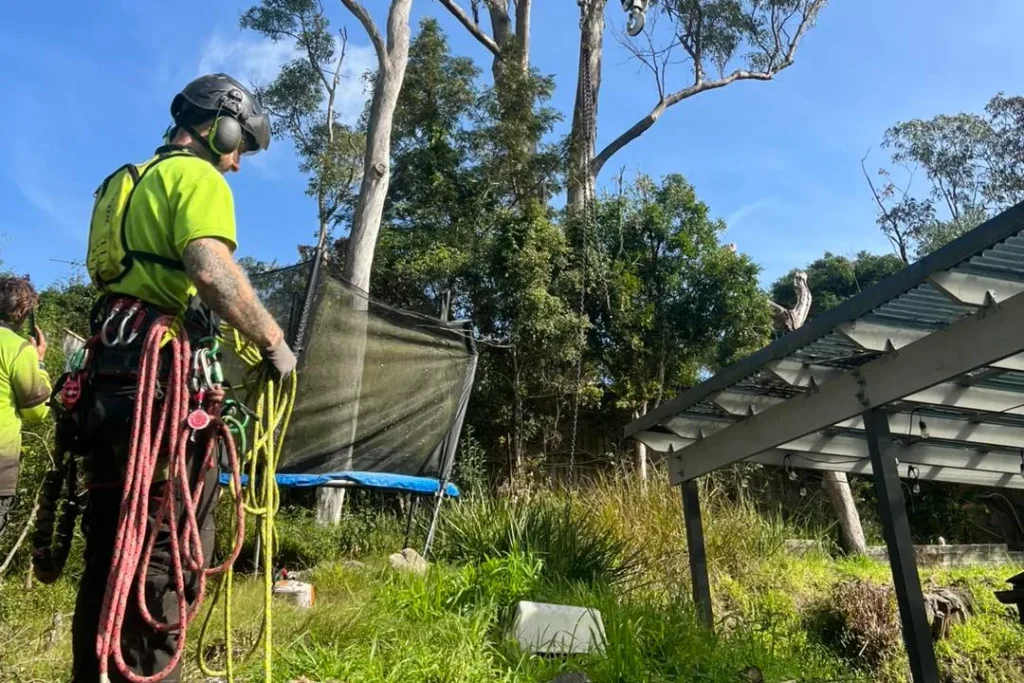 Tree Removal Rouse Hill