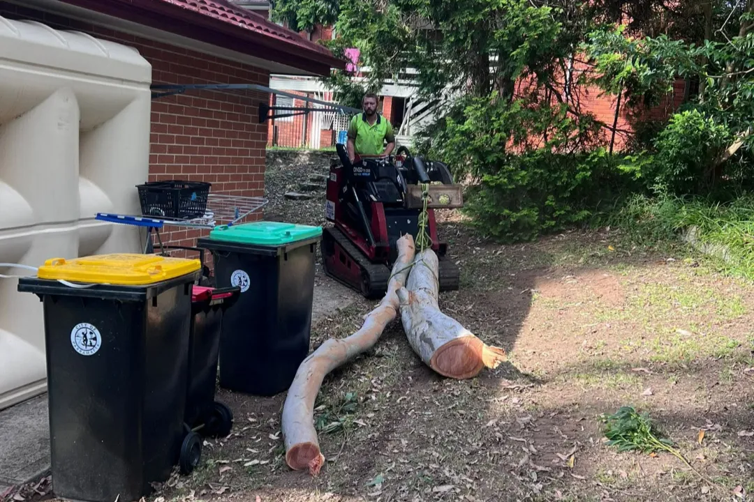 Tree Removal Kenthurst